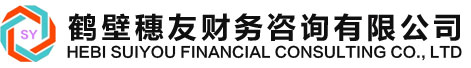 鹤壁穗友财务咨询有限公司